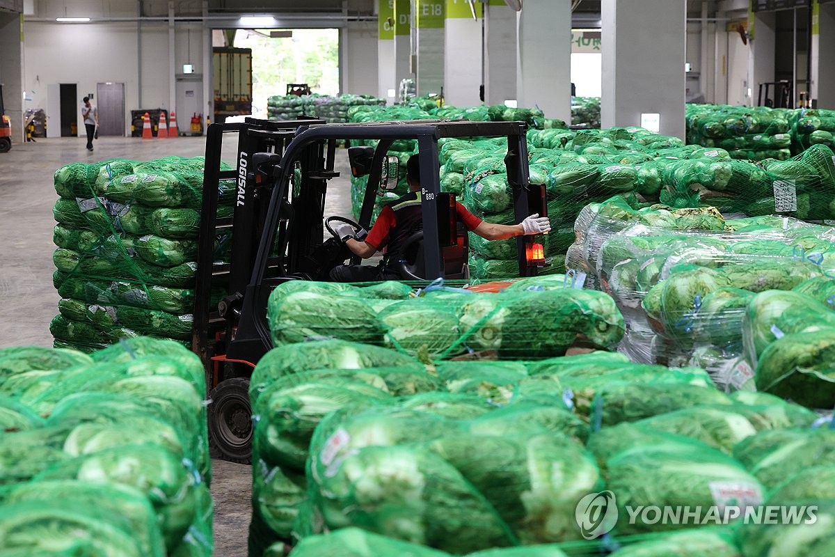 "고깃집 상추가 사라진 진짜 이유"…결국 정부까지 칼 빼들자 '발칵' 2 상추