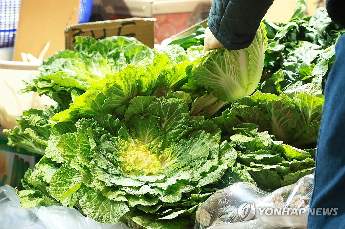 "고깃집 상추가 사라진 진짜 이유"…결국 정부까지 칼 빼들자 '발칵' 3 상추