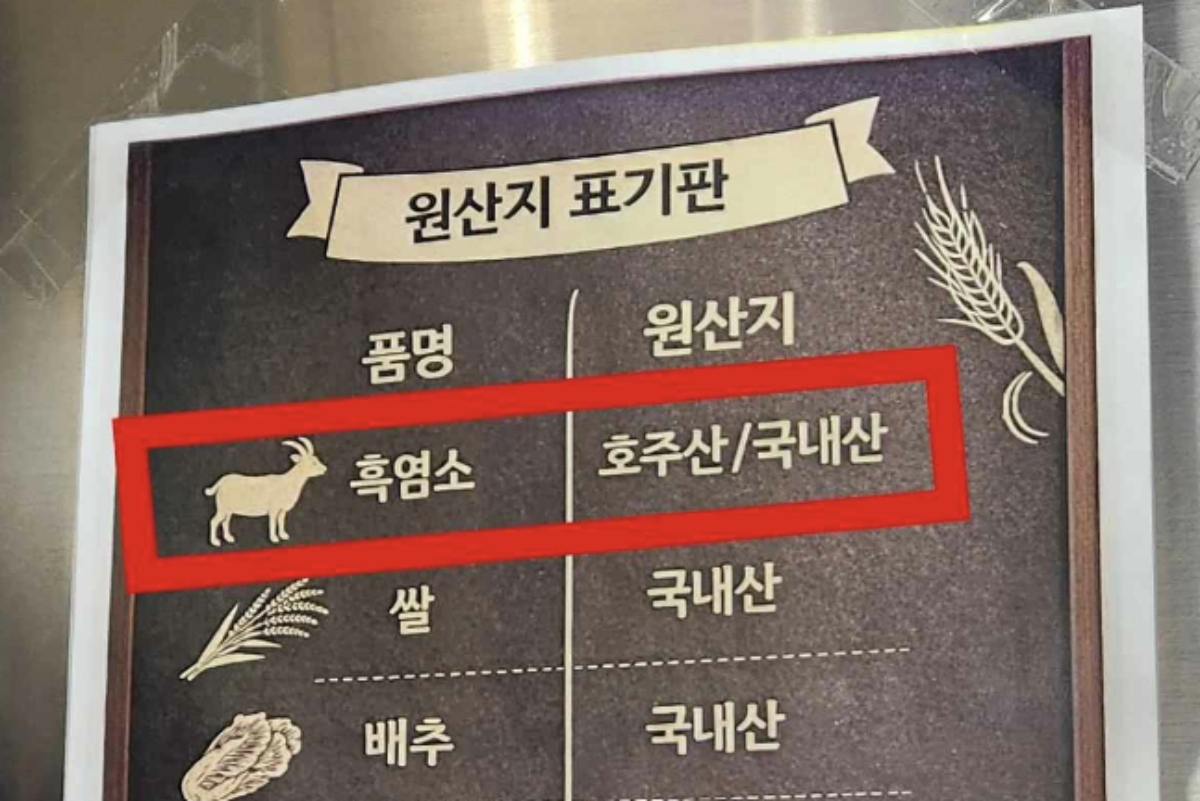 "한 그릇에 얼마를 냈는데"…여름 '이 보양식' 원산지 둔갑 실태에 '발칵' 4 보양식