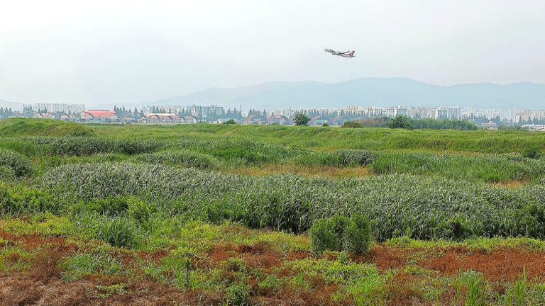 광주 군 공항 부지 호남권 반도체 클러스터 조성