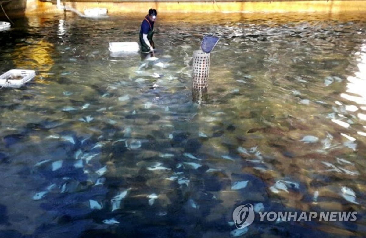 고수온