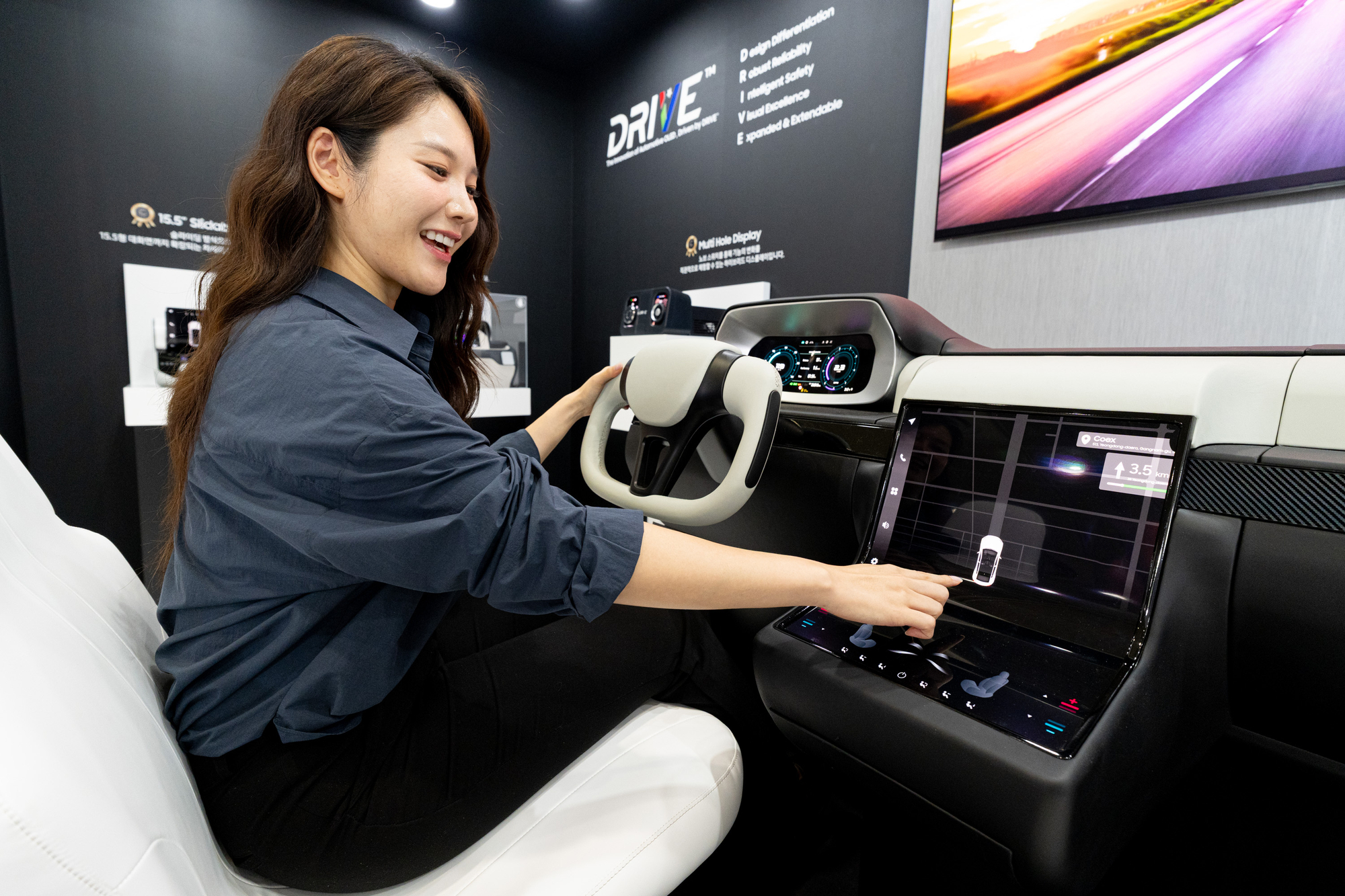 삼성 차량용 OLED
